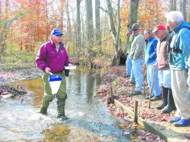 BioBlitz_53117A