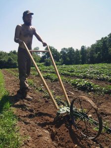 Farm_072215C