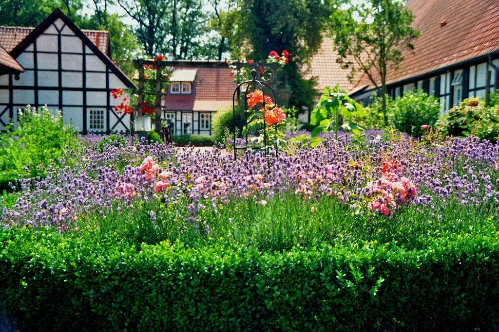 Garden_May_050416B