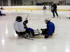 SledHockey__D