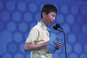 Spelling Bee B