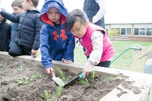 Veggie_052915A