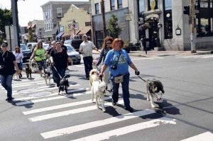 walkdog_091416c