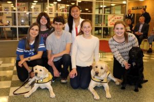 guide dog