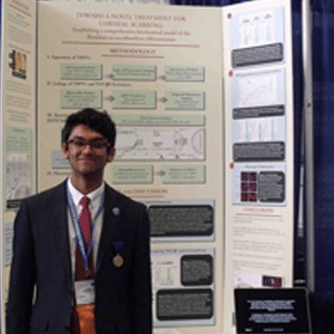 sciWEB