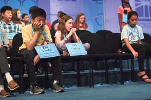 spelling bee a cover