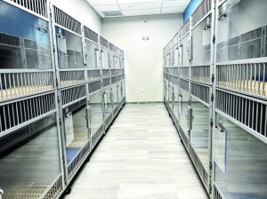 sy k9resort 012523 b 1024x768 1