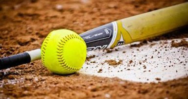 1-14_Softball-bat_SL
