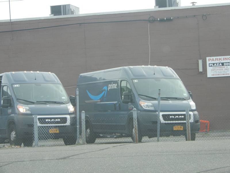 Amazon Carle Place WEB A