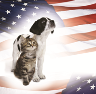 Animal League Patriotic Adoption