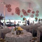 Ball 062114H 1024x768 1