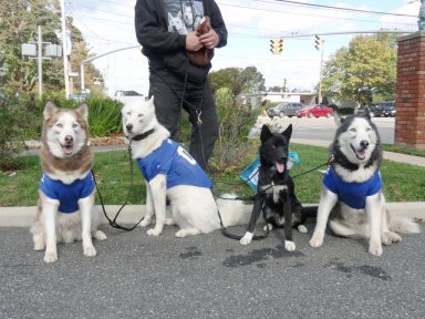 Barktoberfest_103114A