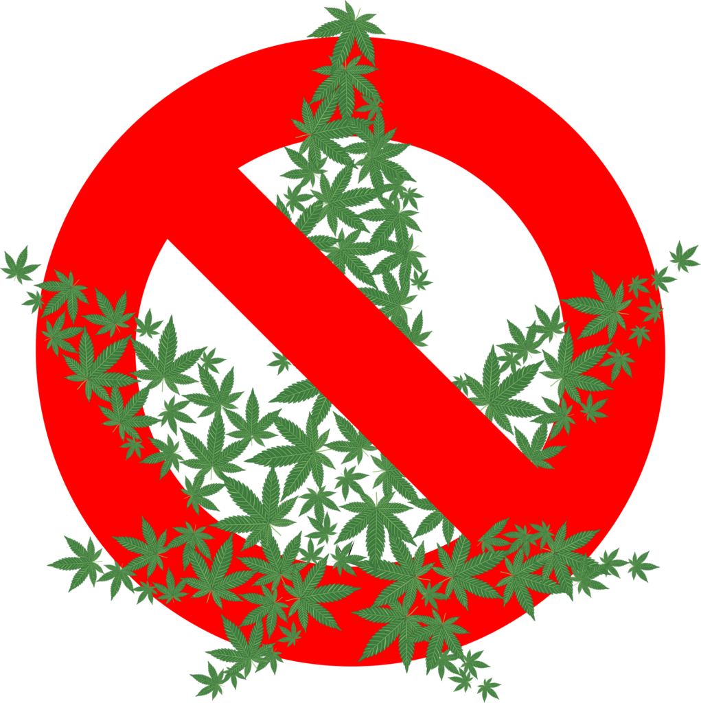 Cannabis_Cover 6-2_A