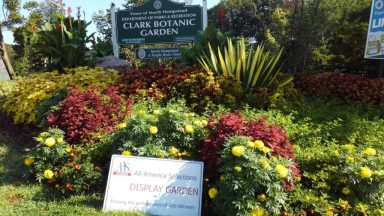 Clark Garden