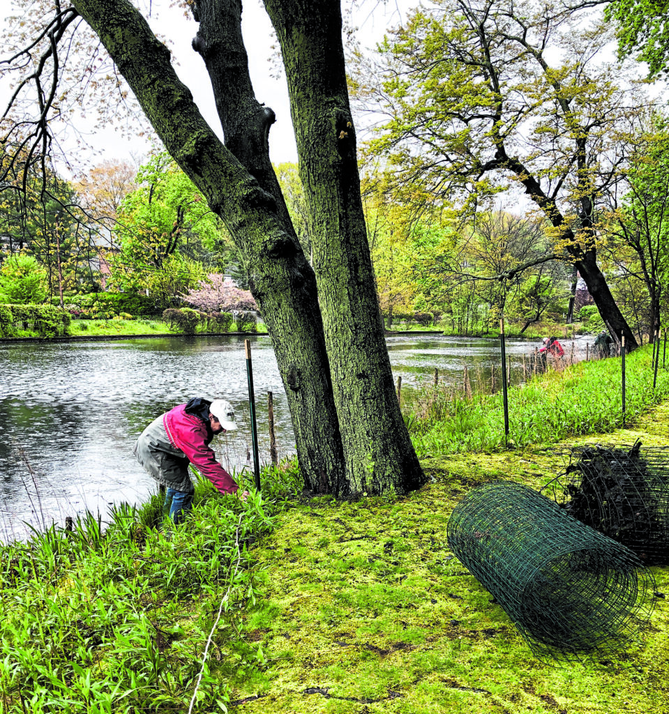 Cover_Image