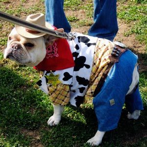 Cowboy-Dog-Costume