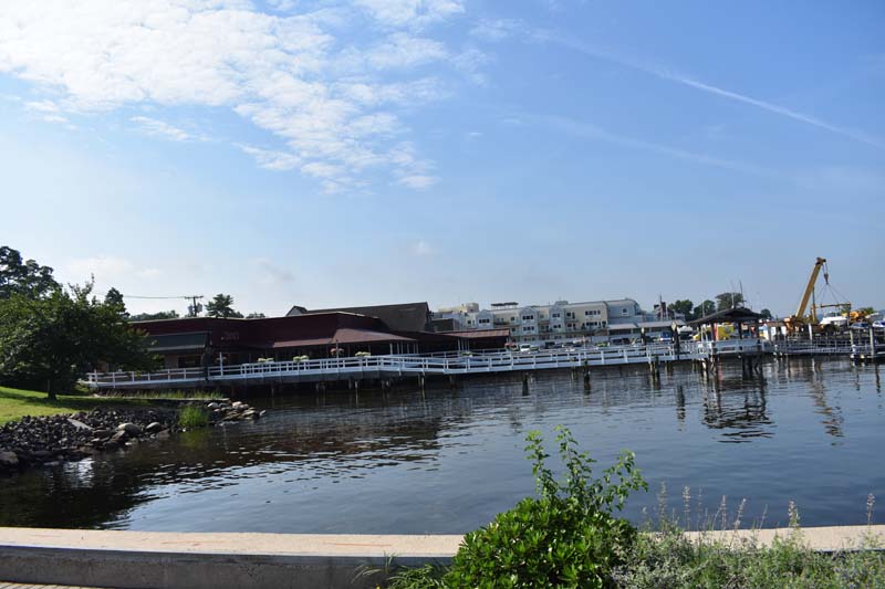 DSC 0731