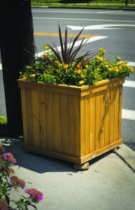 DowntownBeautification_11.1815.C