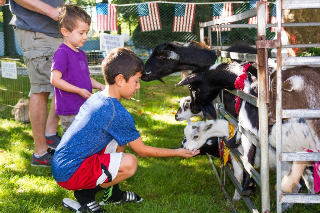 FallFair090915E