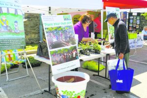 Familyfun052516E