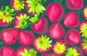 Gardening_060116C