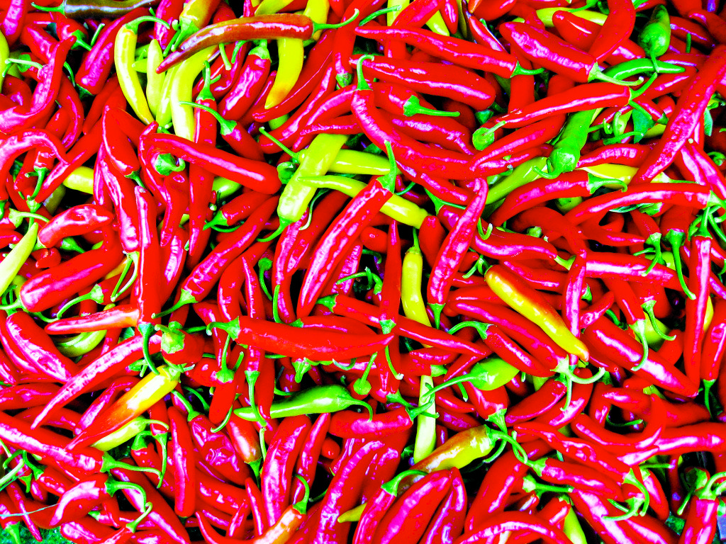 Common name: Thai chili pepper Photographed at the Civic Center Farmer's Market