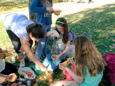GirlScouts111815B