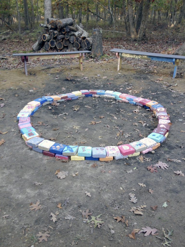 GirlScouts_111414A