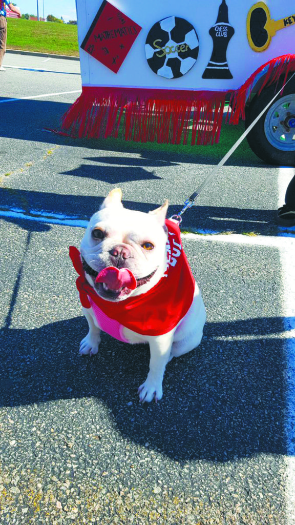 Homecoming_102616D