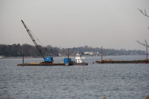 IMG 8034 1024x683 1