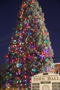 IMG_8752