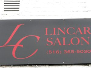 LinCar_010915C (2)
