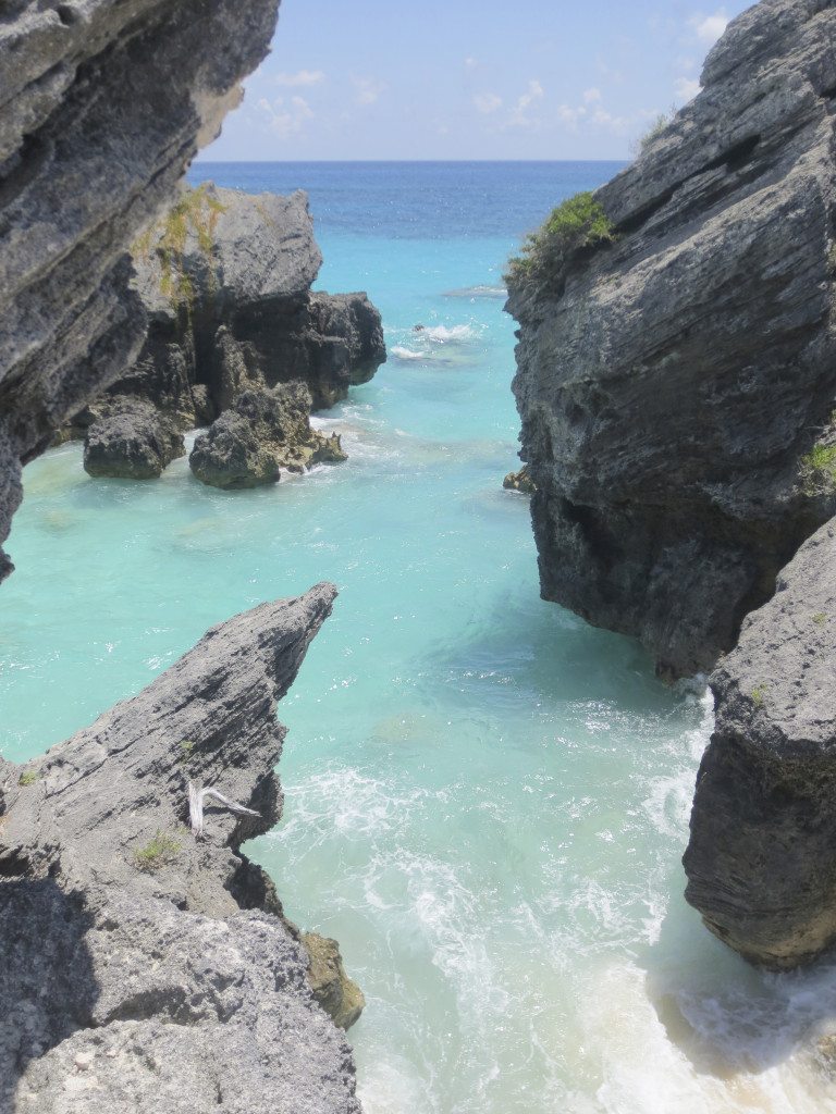 Michell-DelmonteSynott_091014D