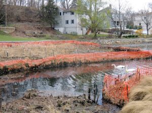 Millpond041416B