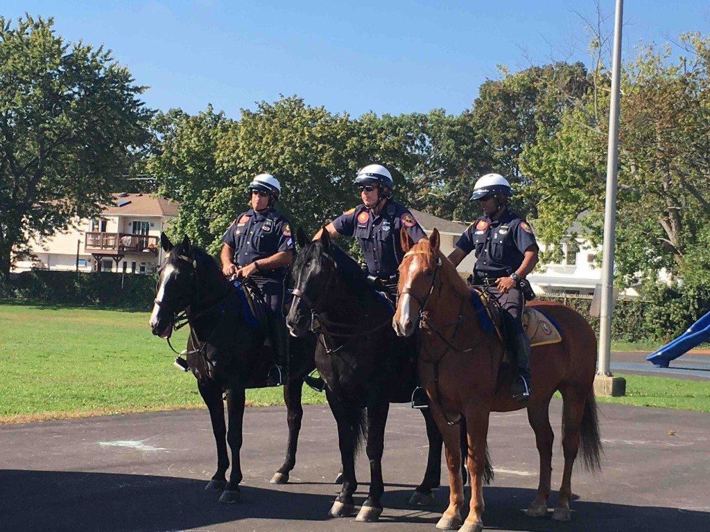 mounted-unit-1
