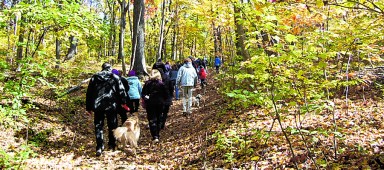 NatureWalk_A