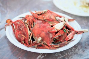 OF Food 101415C