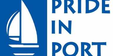 PIPLOGO