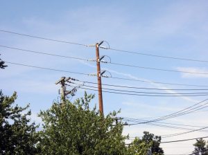 PSEG_070414A