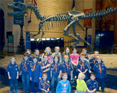 Pack339_022416A