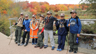 Pack776_111815A