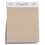 Pantone Hazelnut
