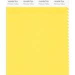 Pantone Primrose Yellow