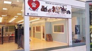The new Pets4Luv location in the Source Mall can hold XX cats and XX dogs. 