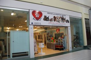 Pets E 1024x683 1
