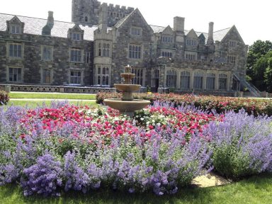 Photography_041515A
