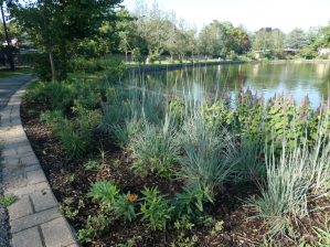 PlantRebates A 1024x766 1