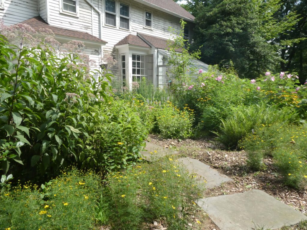PlantRebates_B