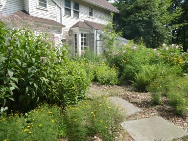 PlantRebates_B
