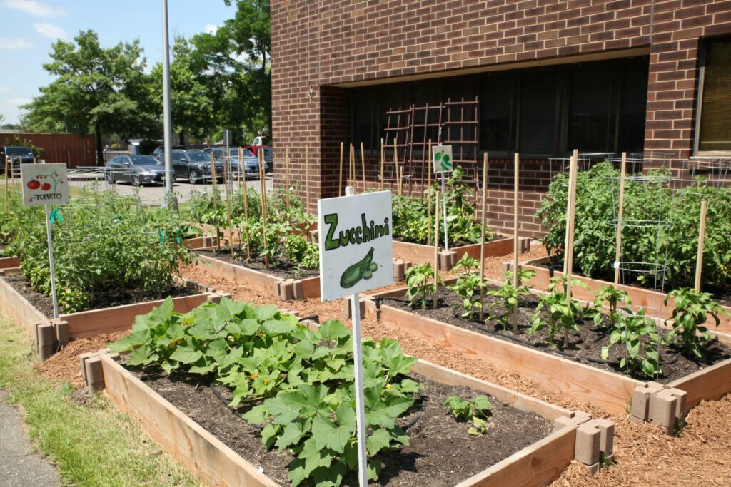 PlantRow_C